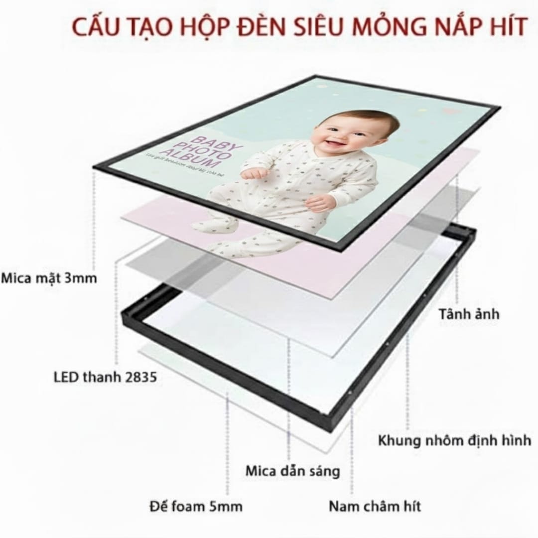 cấu tạo tranh điện hít nam châm